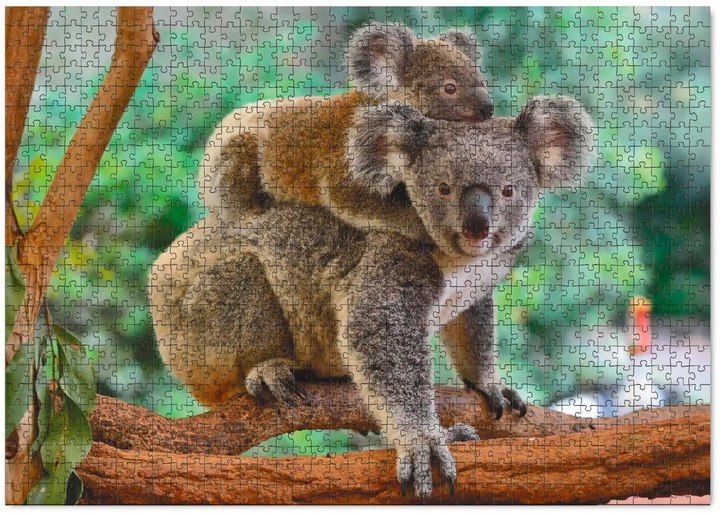 Пазл Маленька коала з мамою 1000 елементів 301183 фото