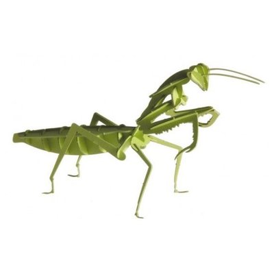 Богомол | Mantis Fridolin 3D модель 11624 фото