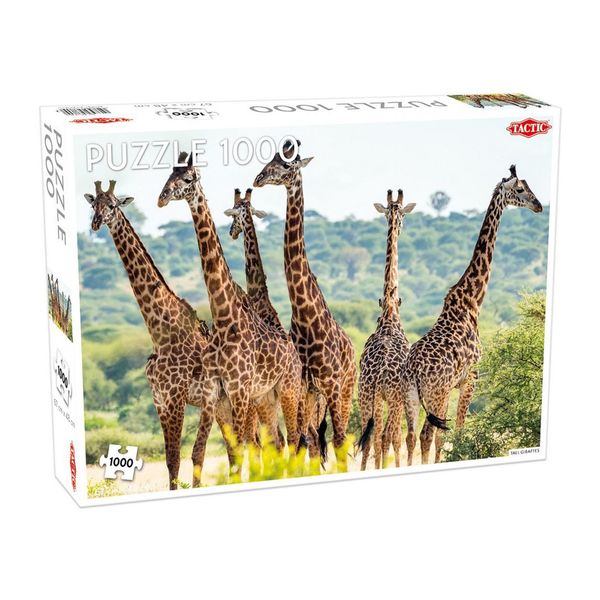 Пазл Высокие жирафы 1000 частей 56755 фото