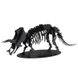 Трицератопс | Triceratops Fridolin 3D модель 11643 фото 2