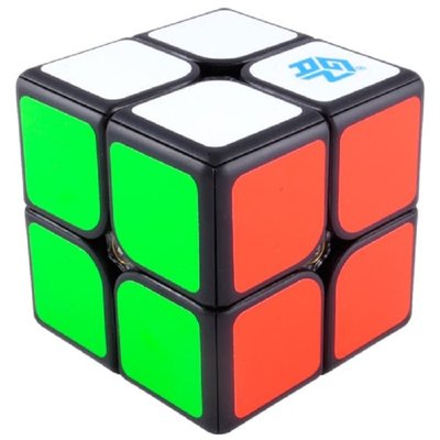 Кубик 2х2 Ganspuzzle 249 V2 чорний 0020202002 фото