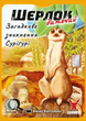 Настільна гра Шерлок дитячий. Загадкове зникнення Суріґурі (Sherlock Junior: Suriguri)