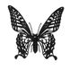 Бабочка | Butterfly Fridolin 3D модель 11607 фото 2