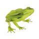 Жабка | Frog Fridolin 3D модель 11609 фото 2