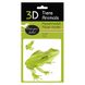 Жабка | Frog Fridolin 3D модель 11609 фото 1