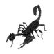 Скорпіон | Scorpion Fridolin 3D модель 11604 фото 2